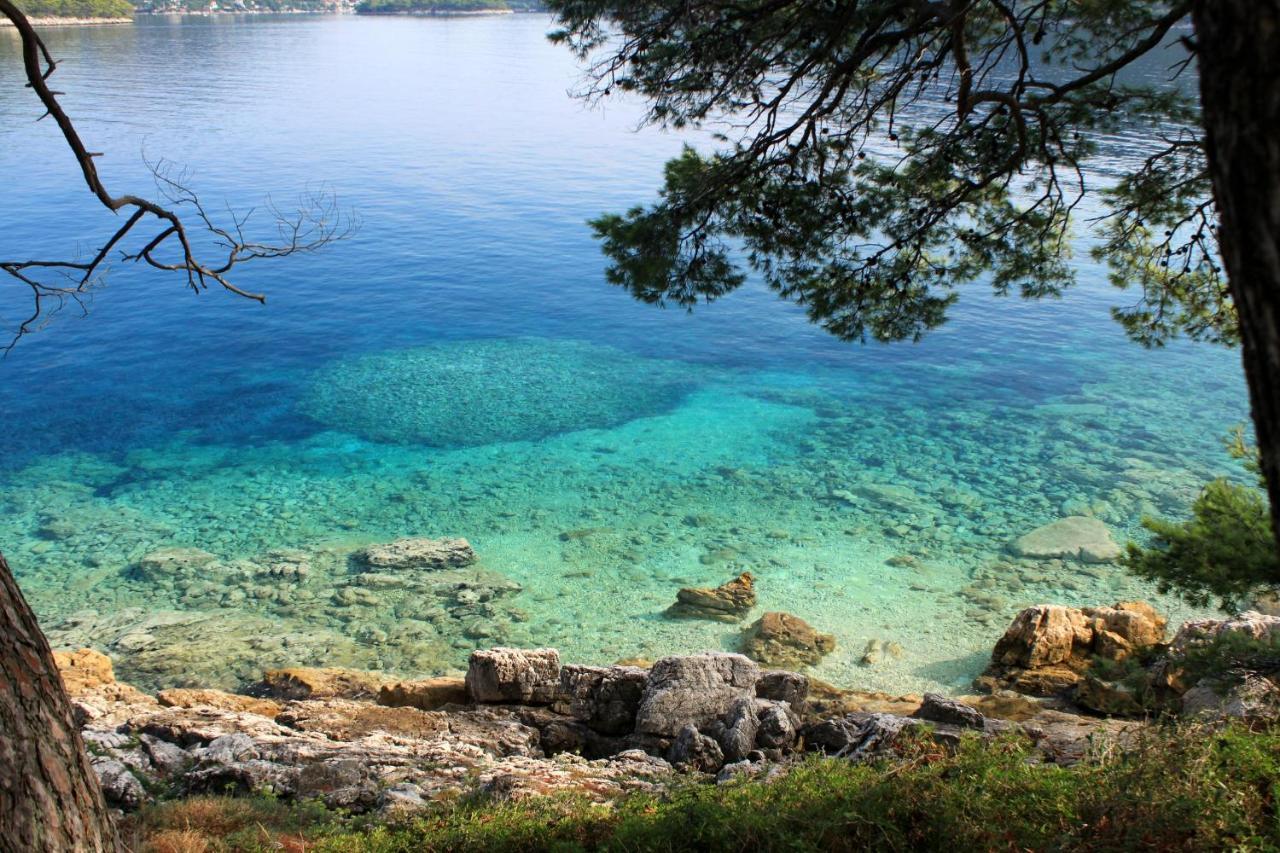 Apartments By The Sea Ubli, Lastovo - 8354 Uble Exteriér fotografie