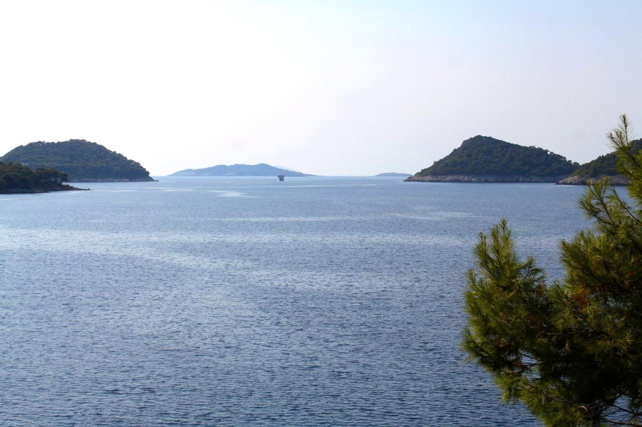 Apartments By The Sea Ubli, Lastovo - 8354 Uble Exteriér fotografie